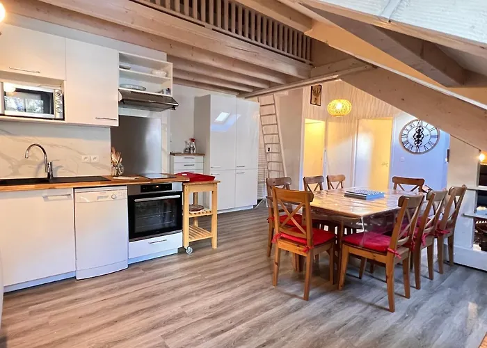 Place De La Mairie T2 Type Loft 70m2 Terrasse 35m2 Appartement Cauterets