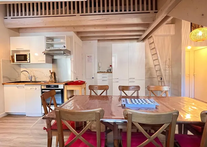 Appartement Place De La Mairie T2 Type Loft 70m2 Terrasse 35m2 *