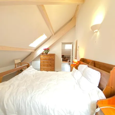 Apartment Place De La Mairie T2 Type Loft 70m2 Terrasse 35m2 Cauterets