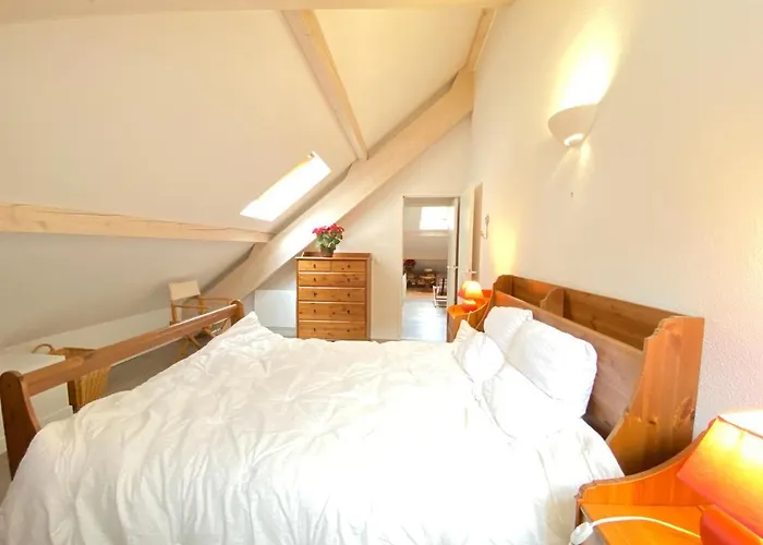 アパート Place De La Mairie T2 Type Loft 70m2 Terrasse 35m2 コテレ