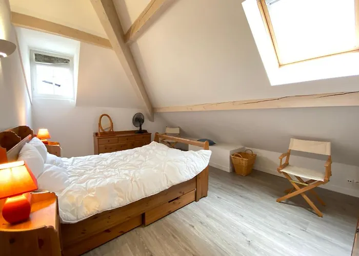 Place De La Mairie T2 Type Loft 70m2 Terrasse 35m2 コテレ